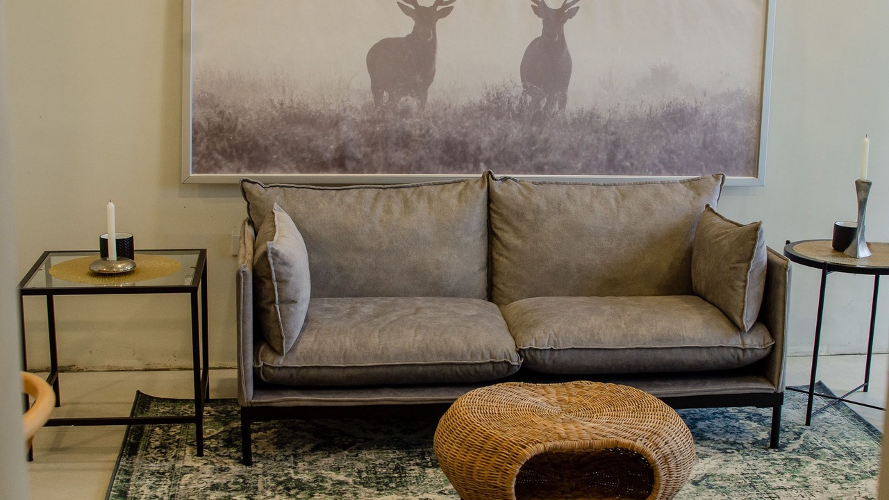Photo of Livingroom in Dolores