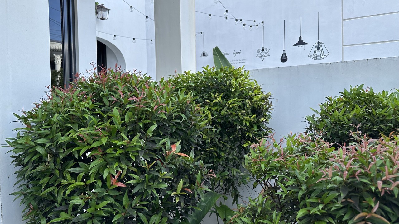 Photo of Outdoor in Dolores