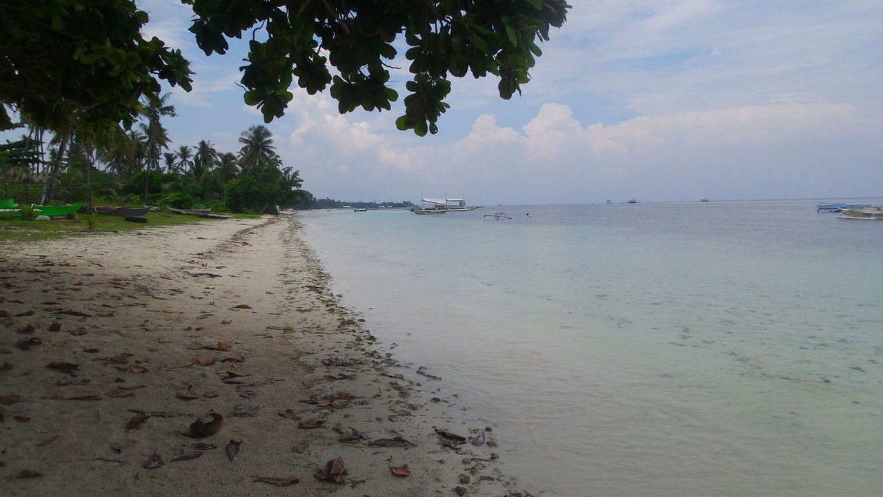 Photo of Others in Panglao