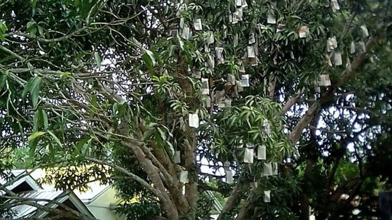 Photo of Outdoor in Guindulman