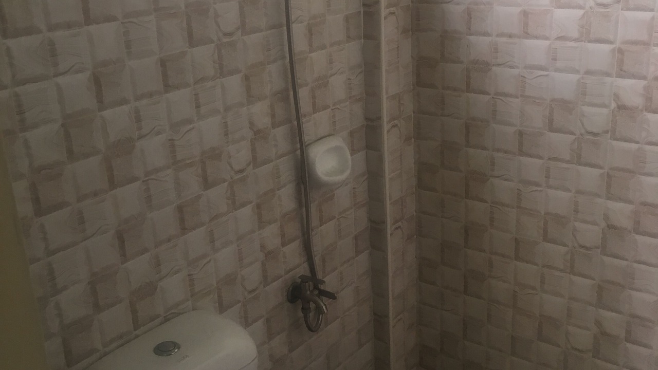 Photo of Bathroom in Concepcion