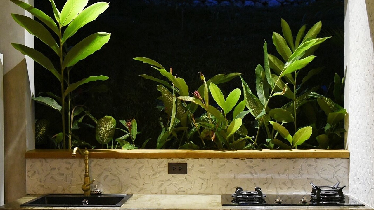 Photo of Kitchen in General Luna
