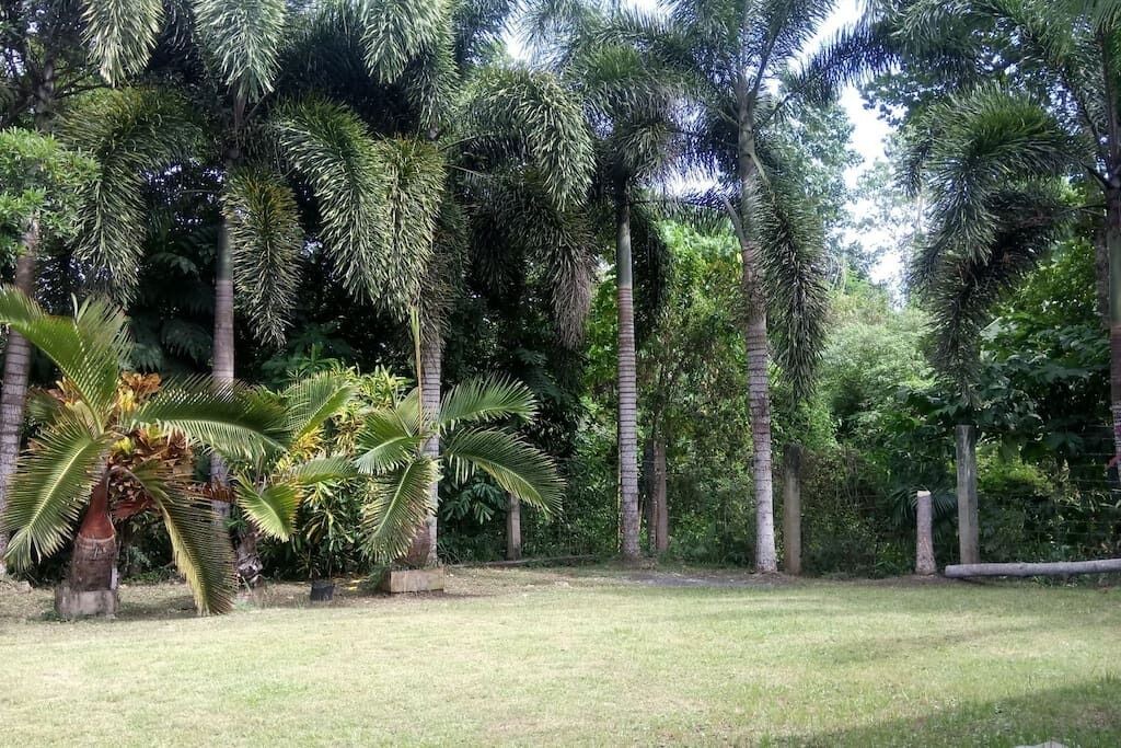 Photo of Outdoor in Tagbilaran