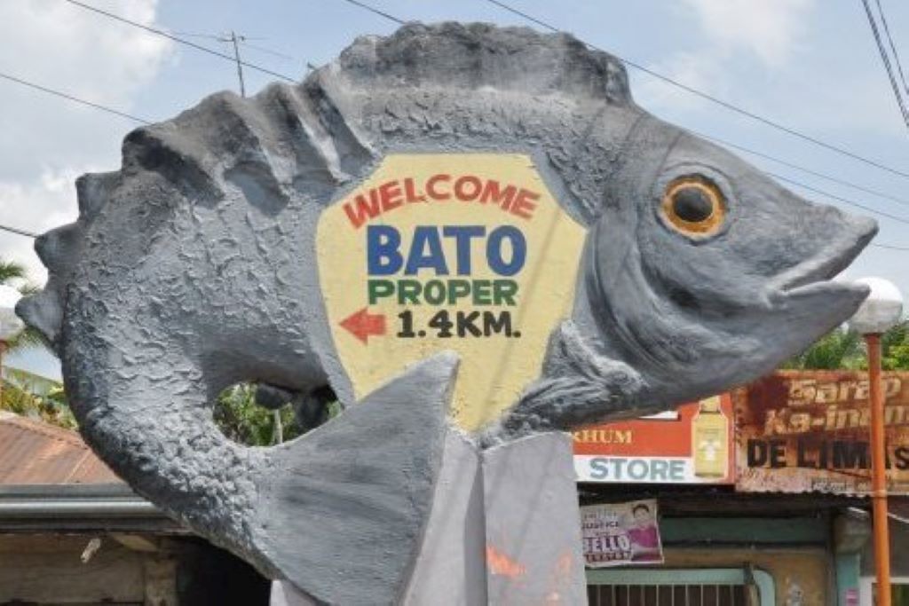 Photo of Outdoor in Bato