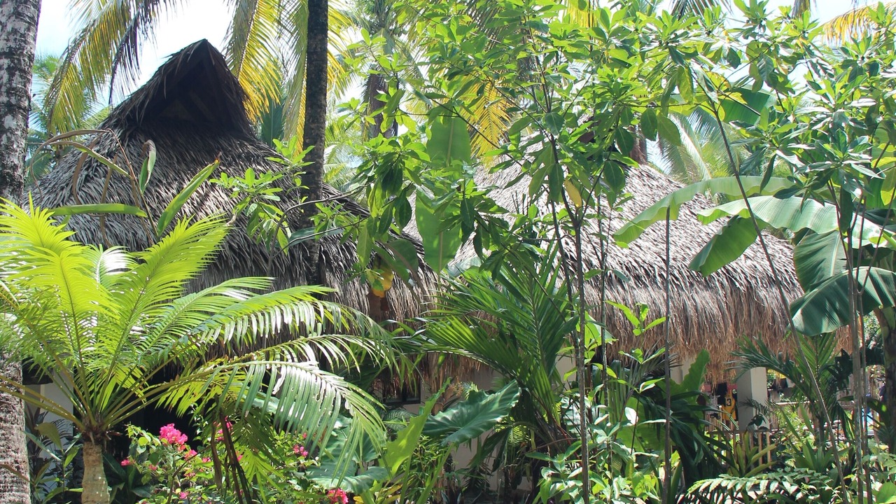Photo of Outdoor in Catangnan