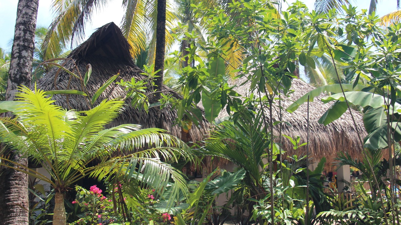 Photo of Outdoor in Catangnan