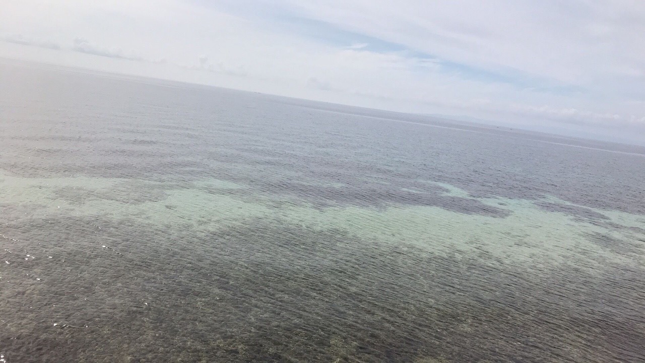 Photo of Others in Oslob