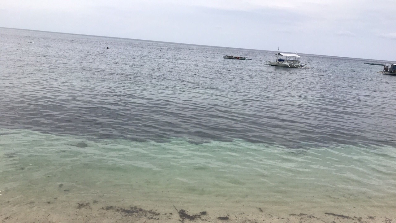 Photo of Others in Oslob