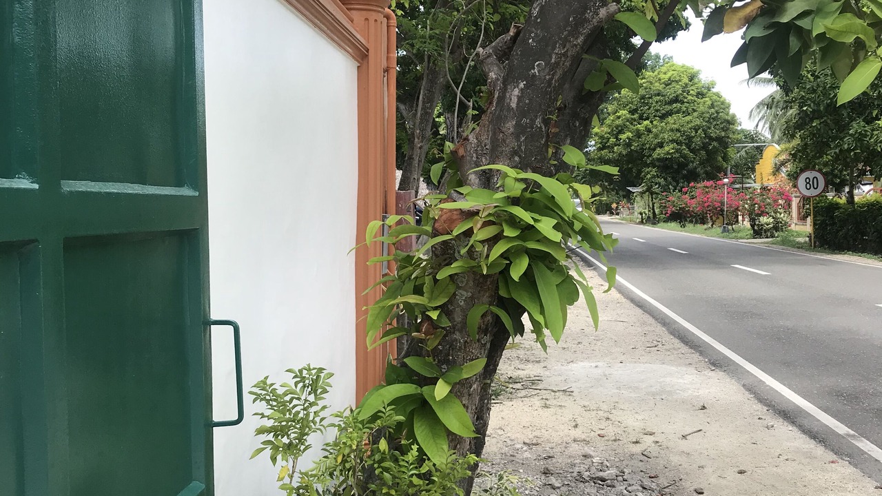 Photo of Outdoor in Tanawan
