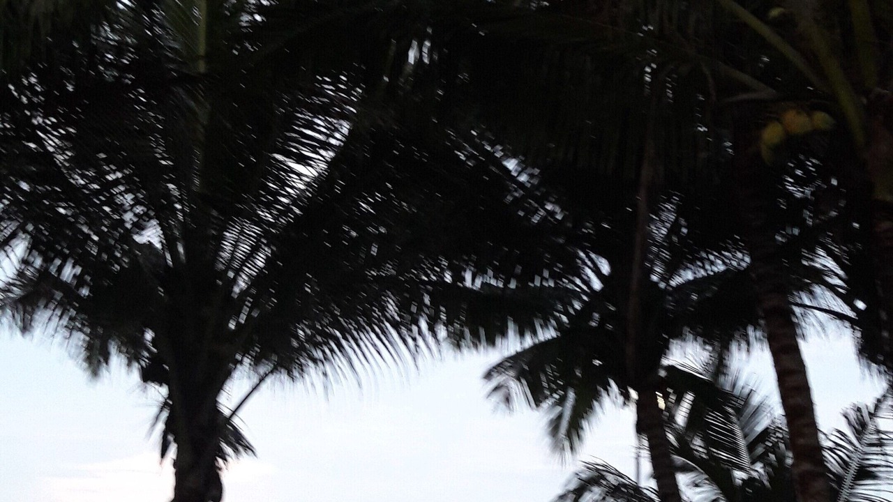 Photo of Others in Hamtic