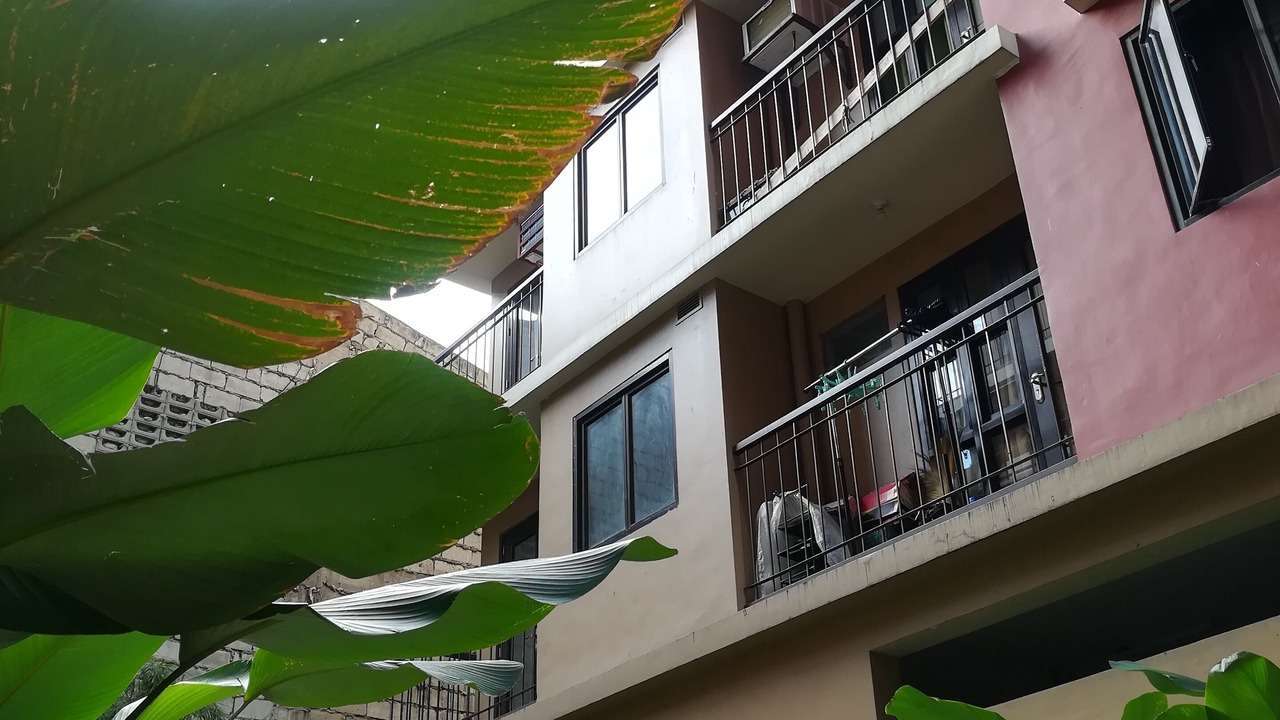 Photo of Outdoor in Culiat
