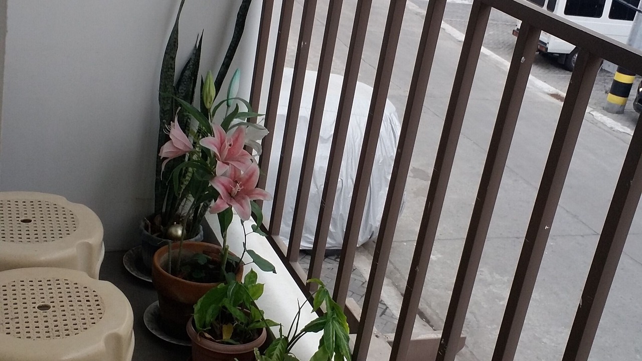 Photo of Others in Moonwalk