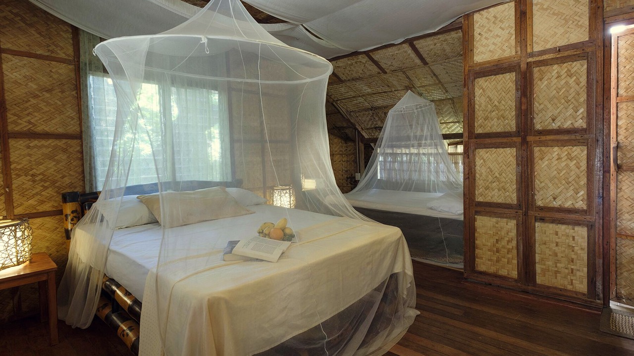 Photo of Bedroom in Abra de Ilog