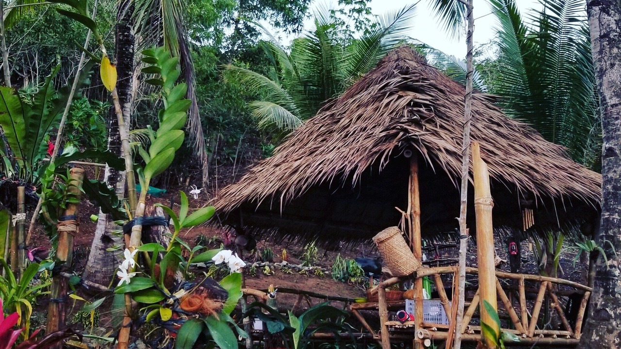 Photo of Outdoor in Basilisa