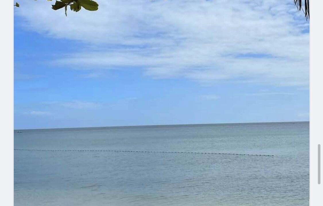 Photo of Others in Laiya