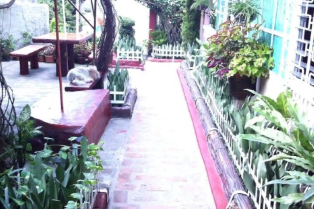 Photo of Patio Balcony in Agoo