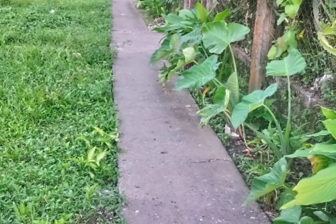 Photo of Outdoor in Agoo