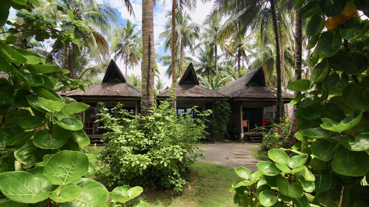 Photo of Outdoor in General Luna