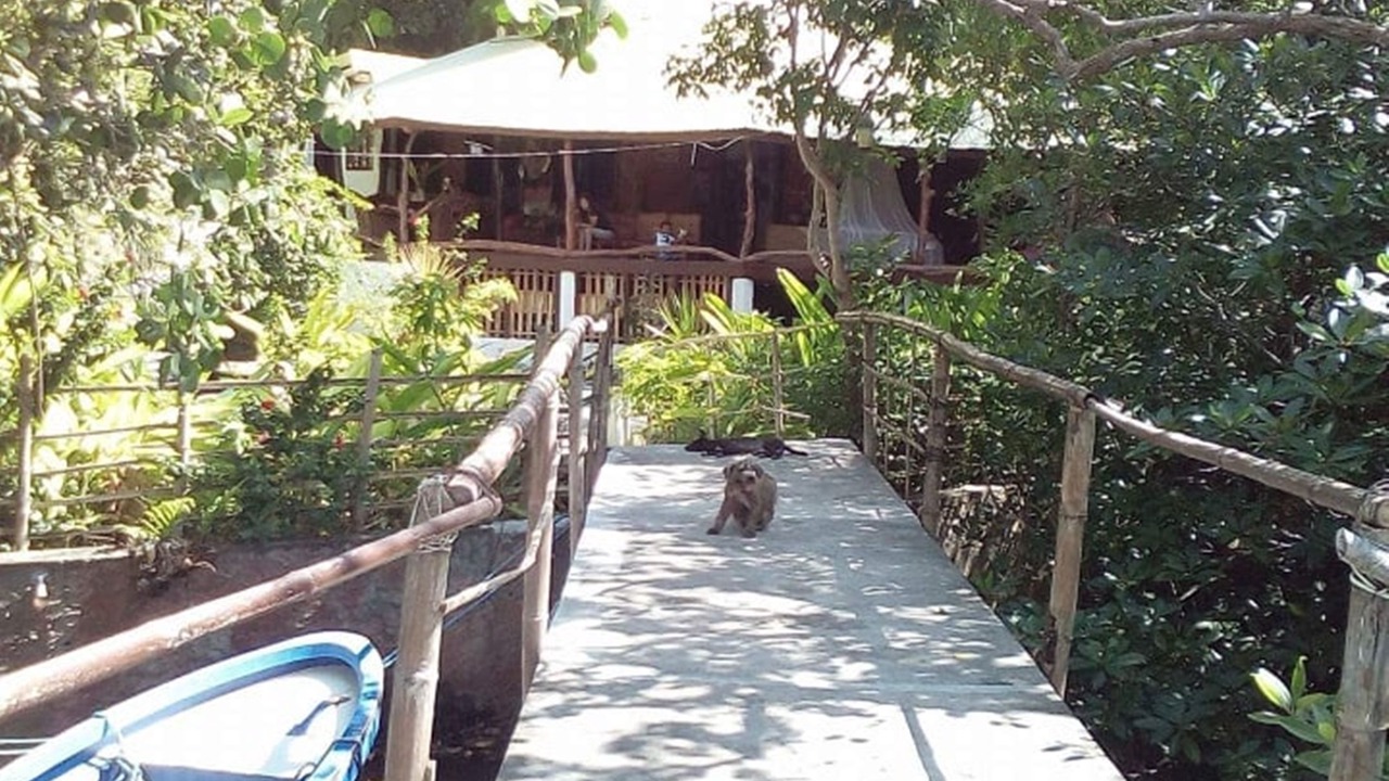 Photo of Outdoor in Puerto Galera