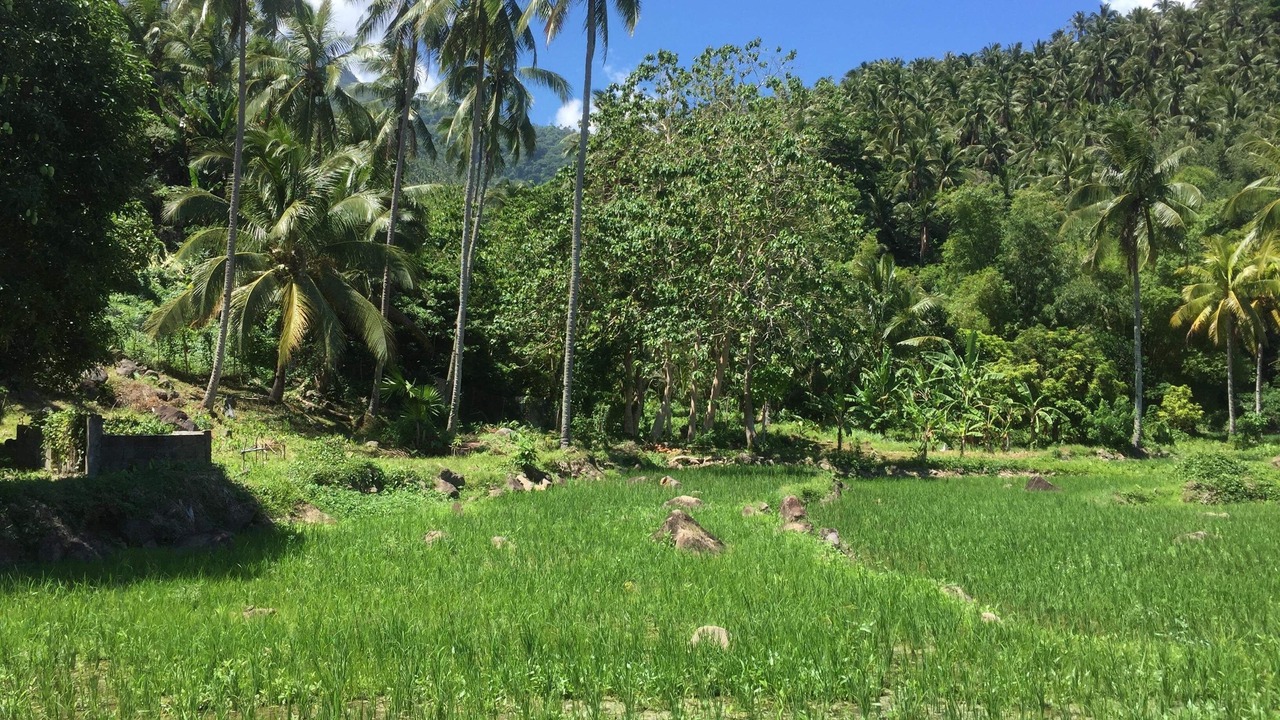 Photo of Outdoor in Kawayan