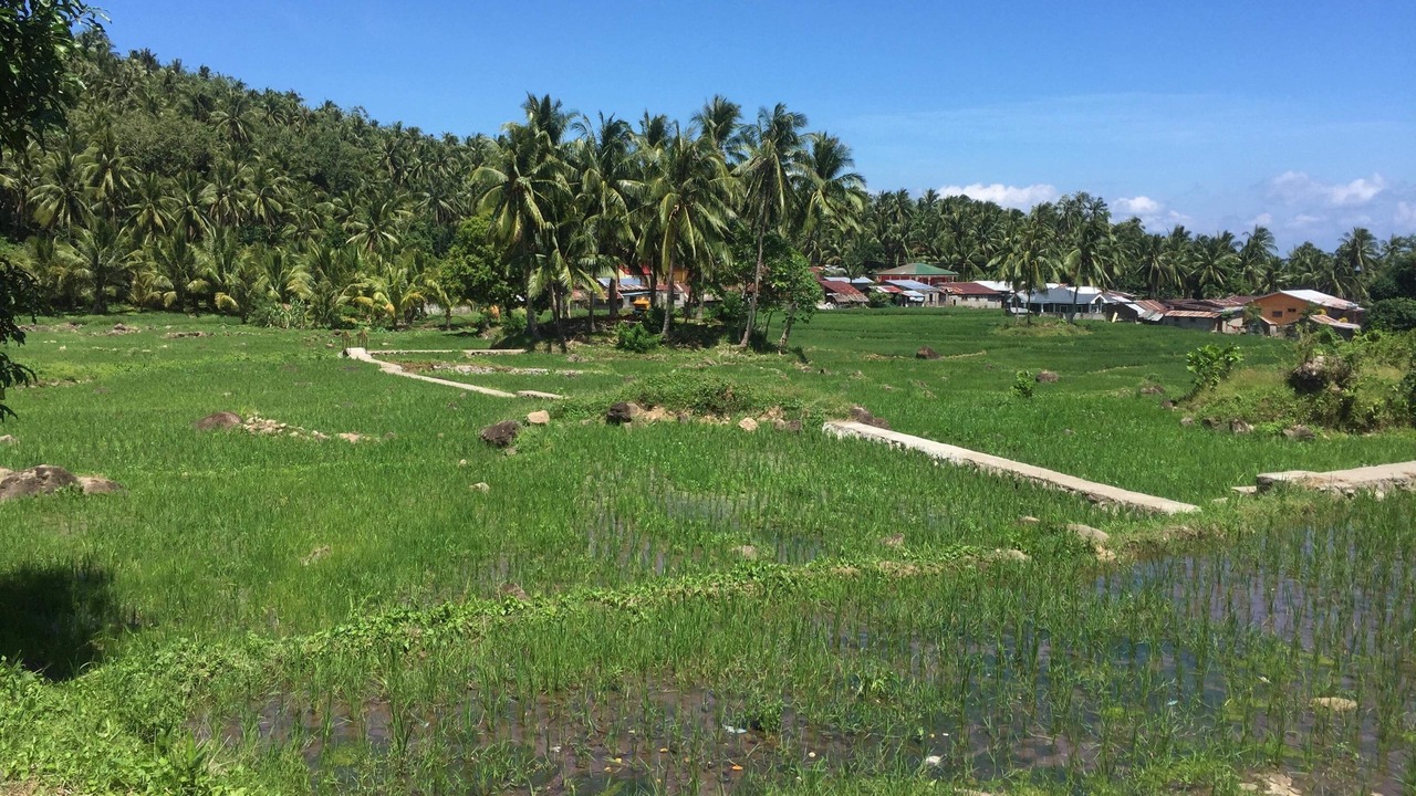 Photo of Outdoor in Kawayan