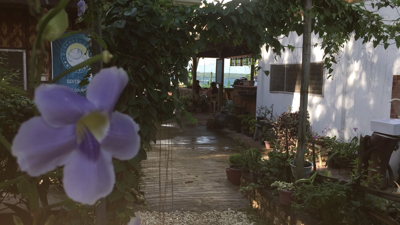 Photo of Outdoor in Calape