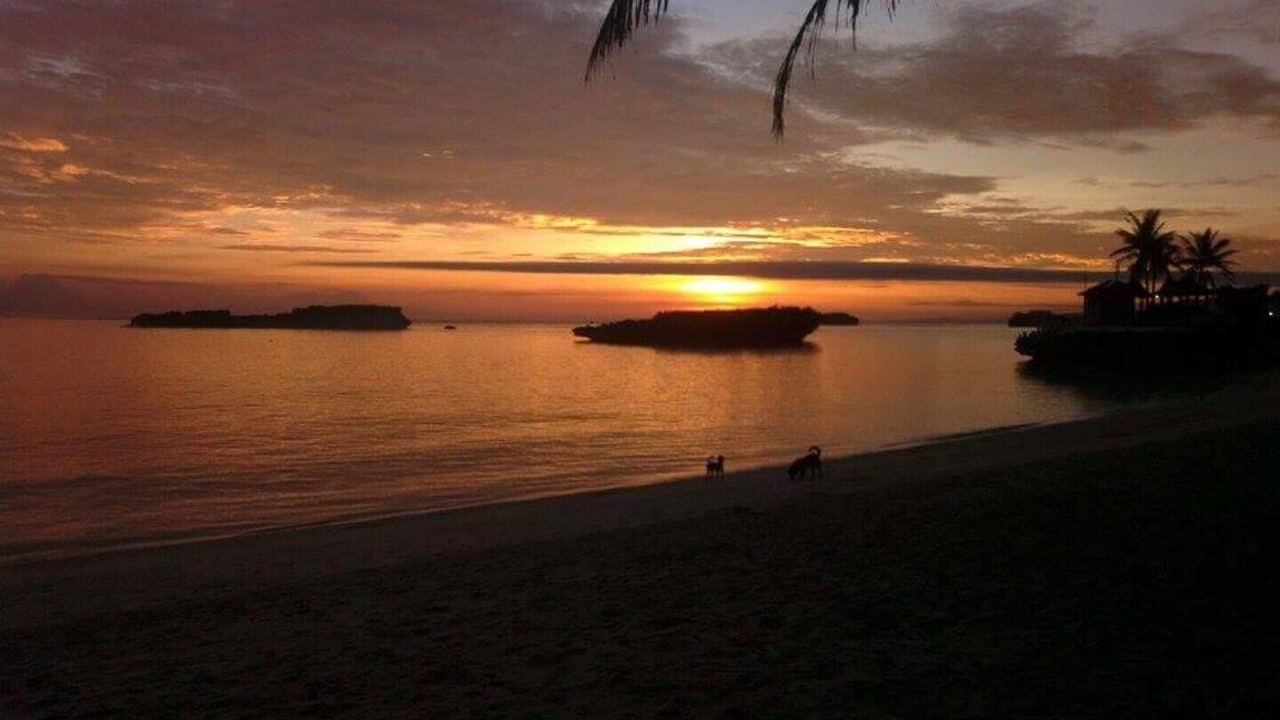 Photo of Others in Boracay Island
