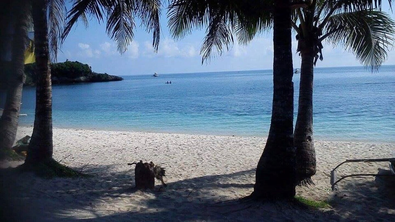 Photo of Others in Boracay Island