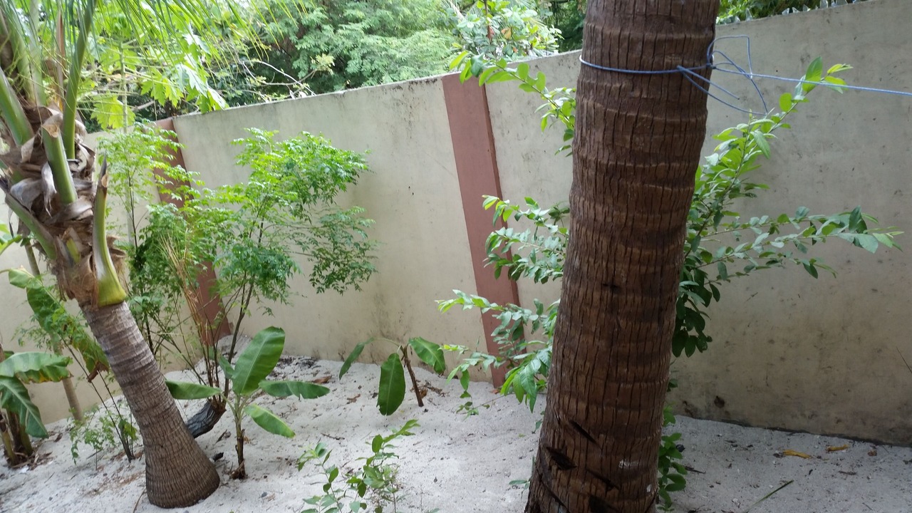 Photo of Outdoor in Roxas