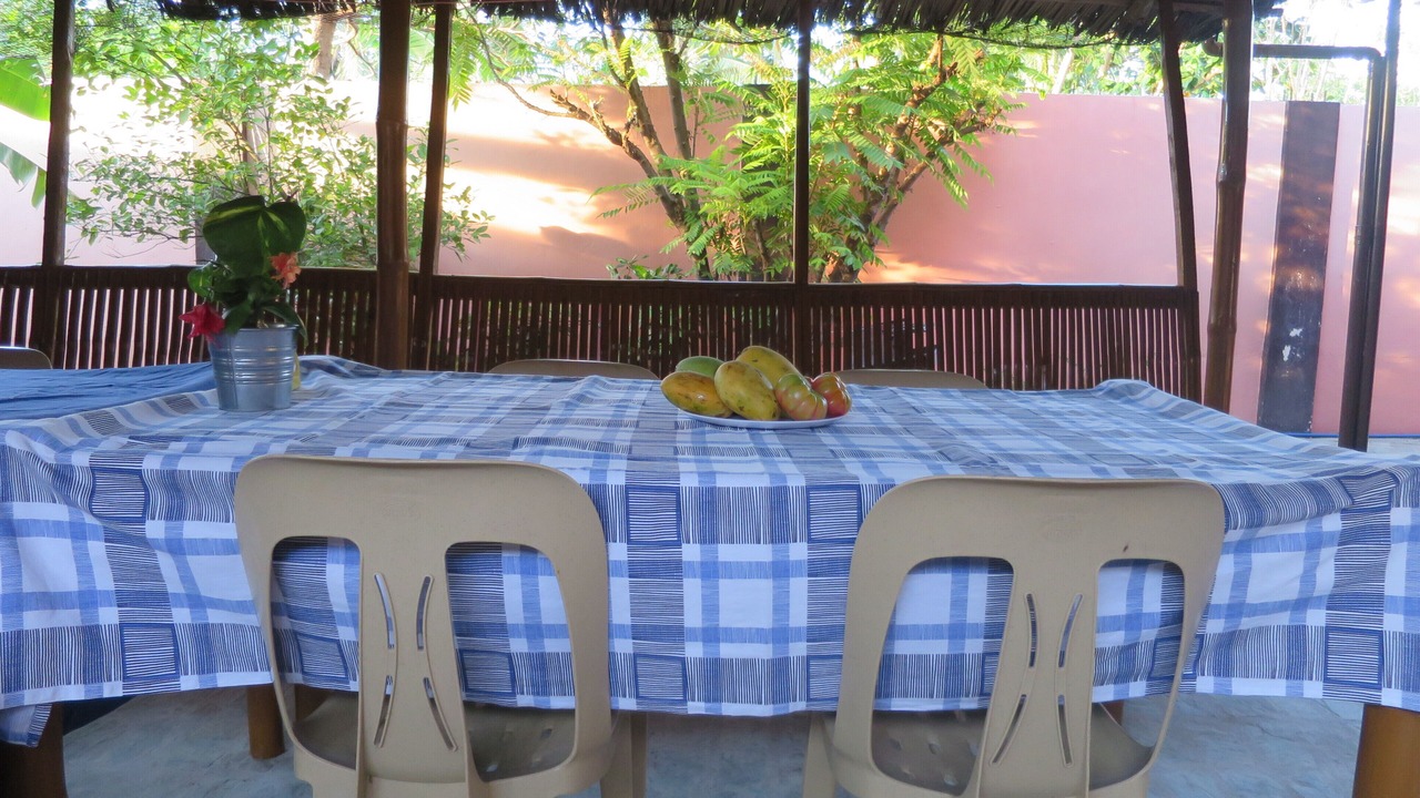 Photo of Outdoor in Roxas
