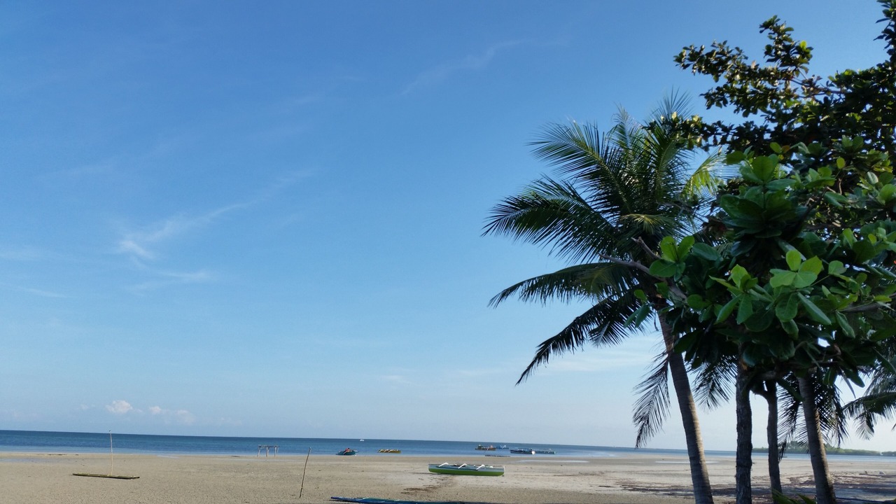 Photo of Others in Roxas