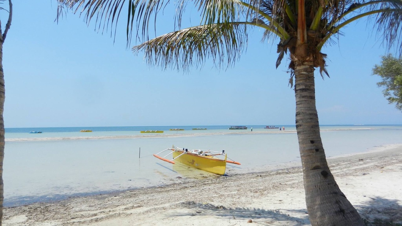 Photo of Others in Roxas