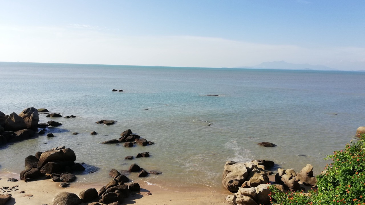 Photo of Others in Batu Ferringhi