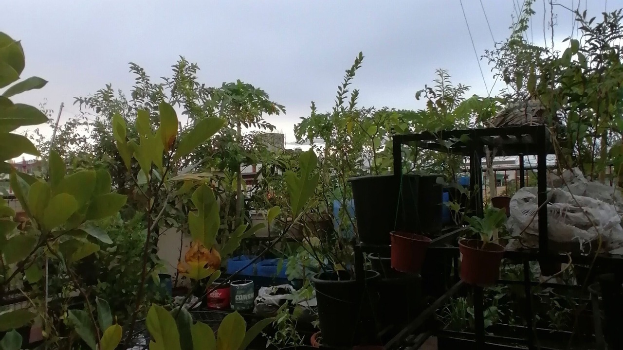 Photo of Outdoor in Dagupan