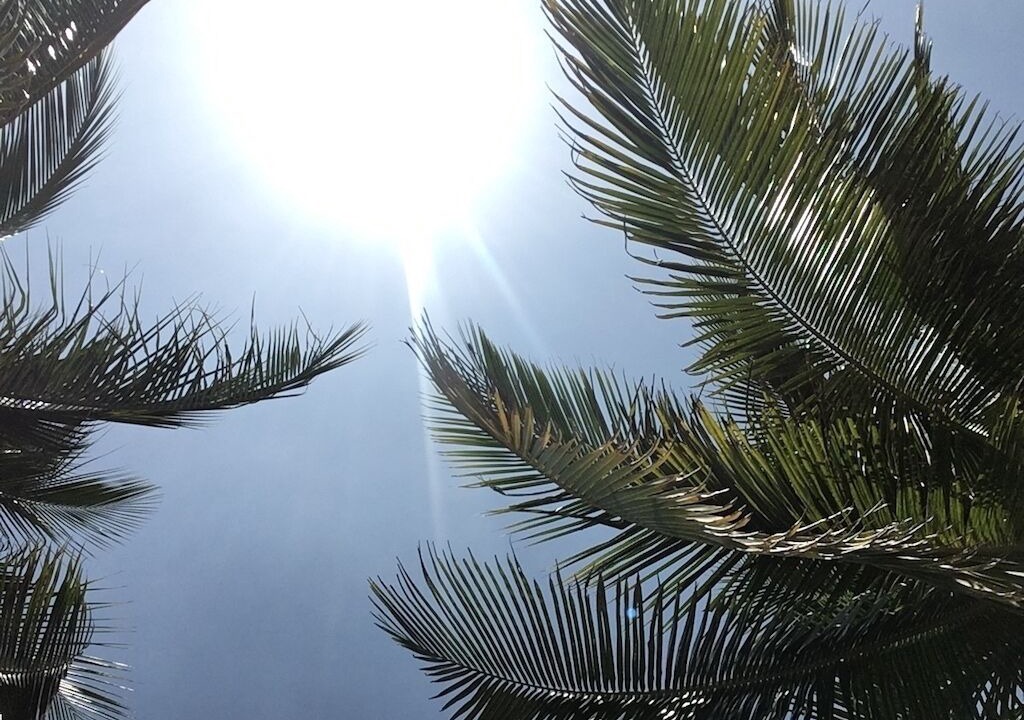 Photo of Outdoor in Nasugbu