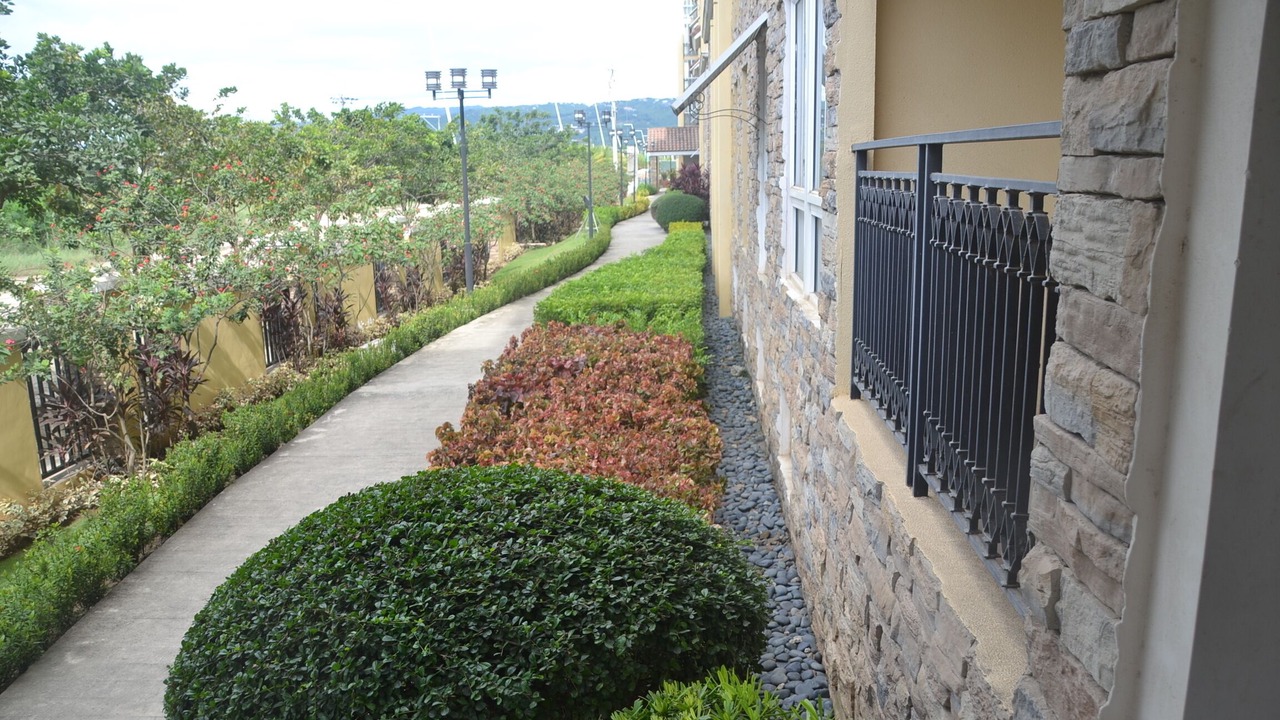 Photo of Outdoor in Cebu