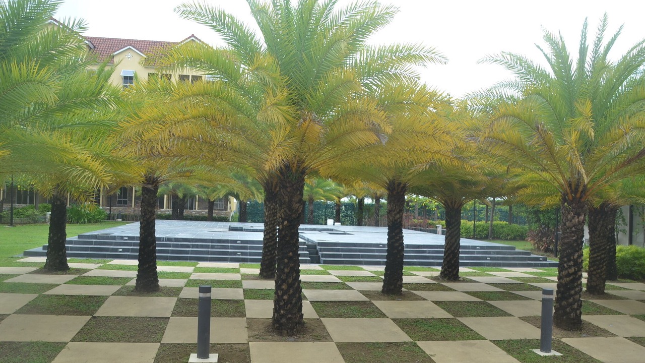 Photo of Outdoor in Cebu