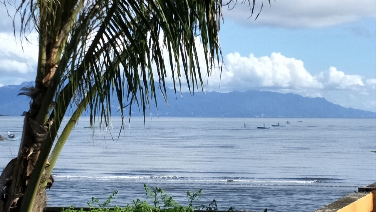 Photo of Others in Calapan