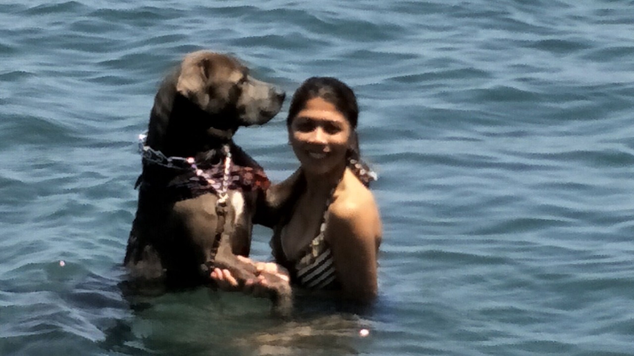 Photo of Others in Calapan