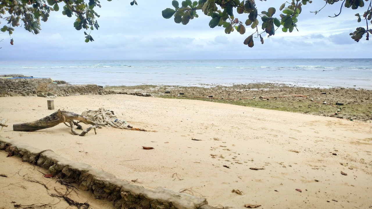 Photo of Others in Samboan