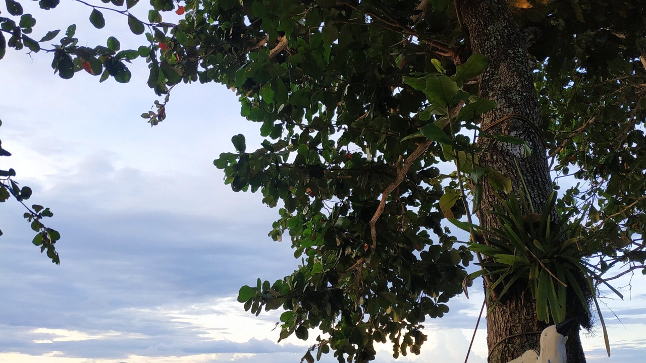 Photo of Others in Samboan