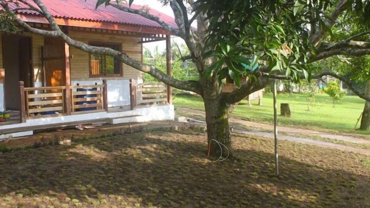 Photo of Others in Indang