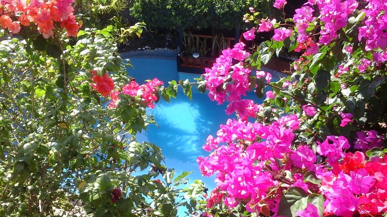 Photo of Outdoor in Libaong