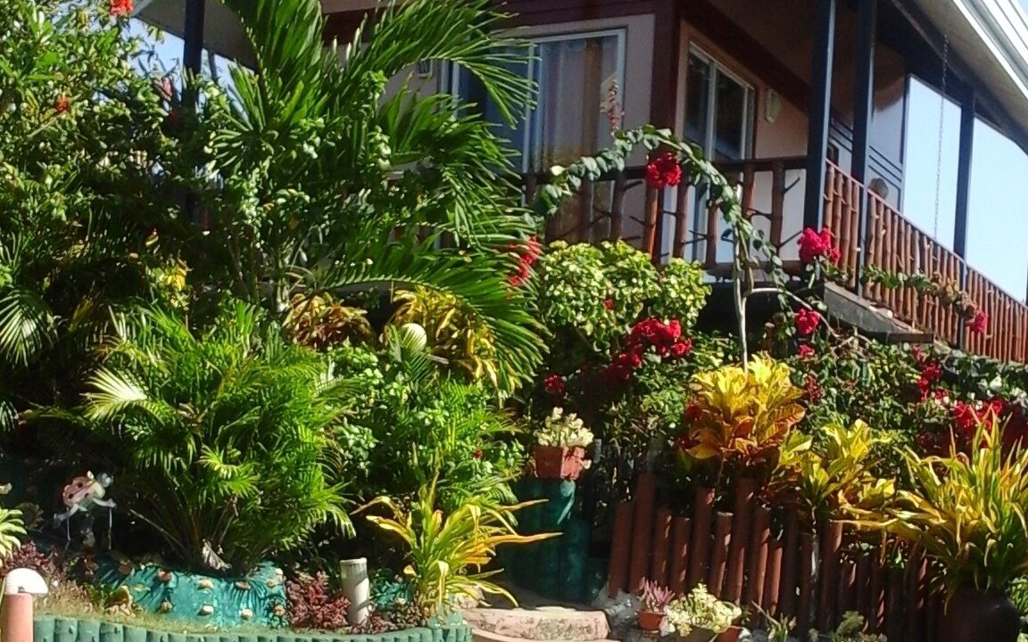 Photo of Outdoor in Libaong