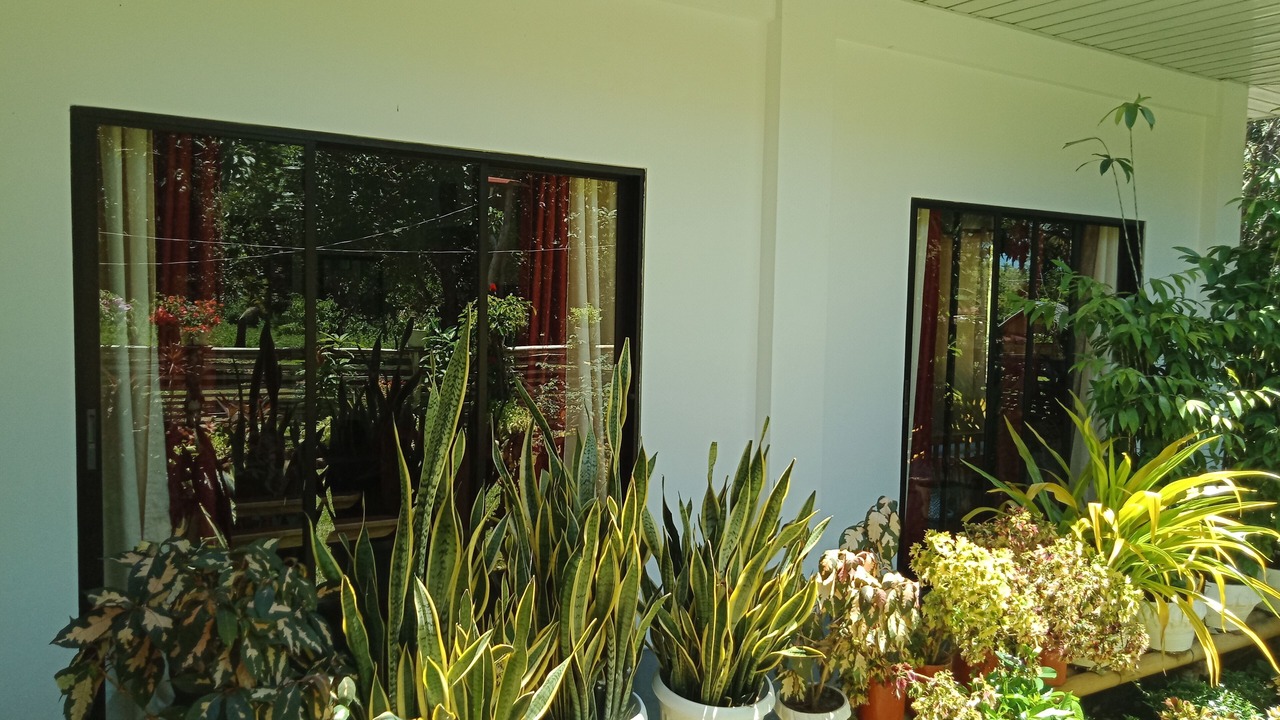 Photo of Outdoor in Candijay