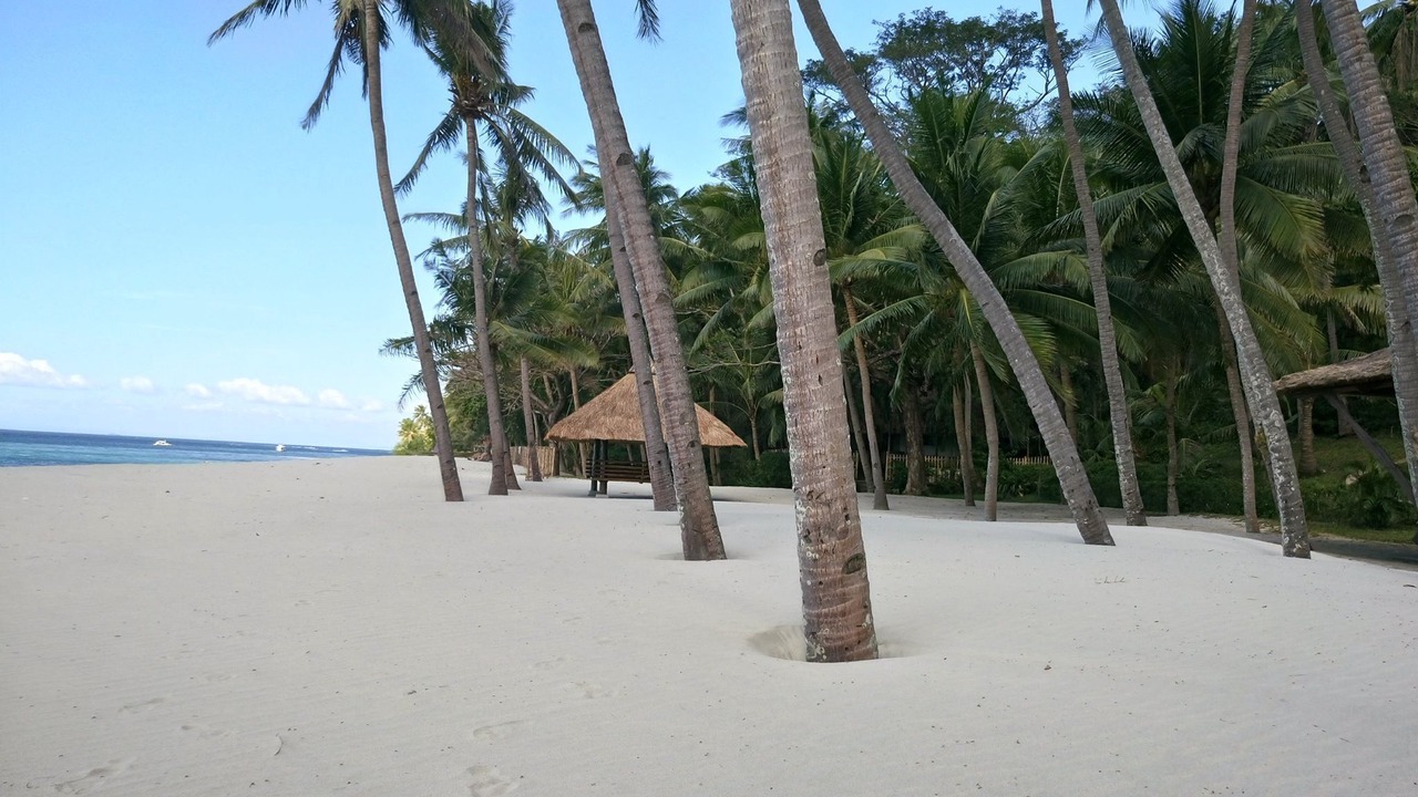 Photo of Others in Puerto Galera