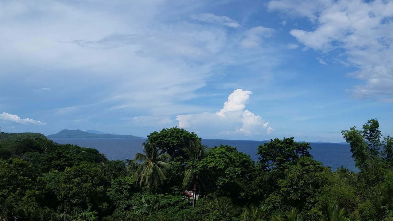 Photo of Others in Puerto Galera