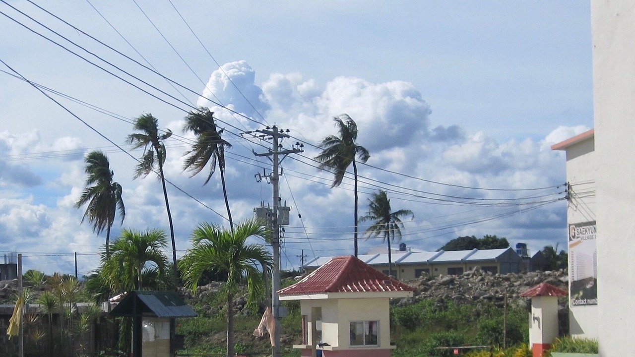 Photo of Others in Lapu-Lapu