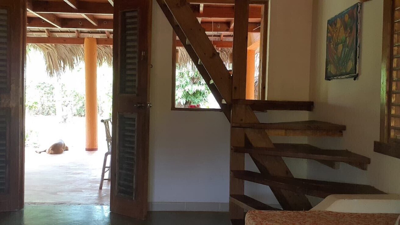 Photo of Others in Las Galeras