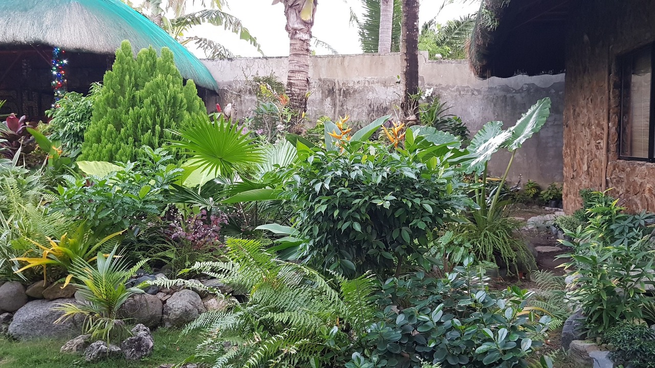 Photo of Outdoor in Looc